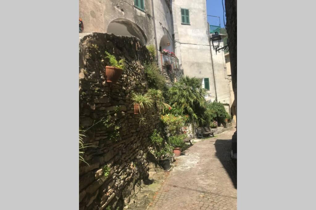 Alloggio U Sportegu Da E Monti A Giaia Badalucco Buitenkant foto