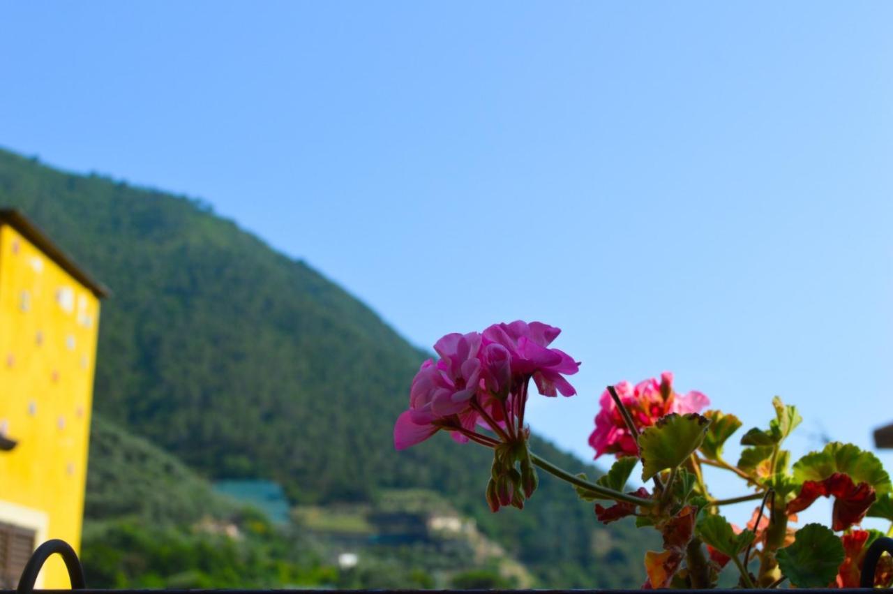 Alloggio U Sportegu Da E Monti A Giaia Villa Badalucco Buitenkant foto