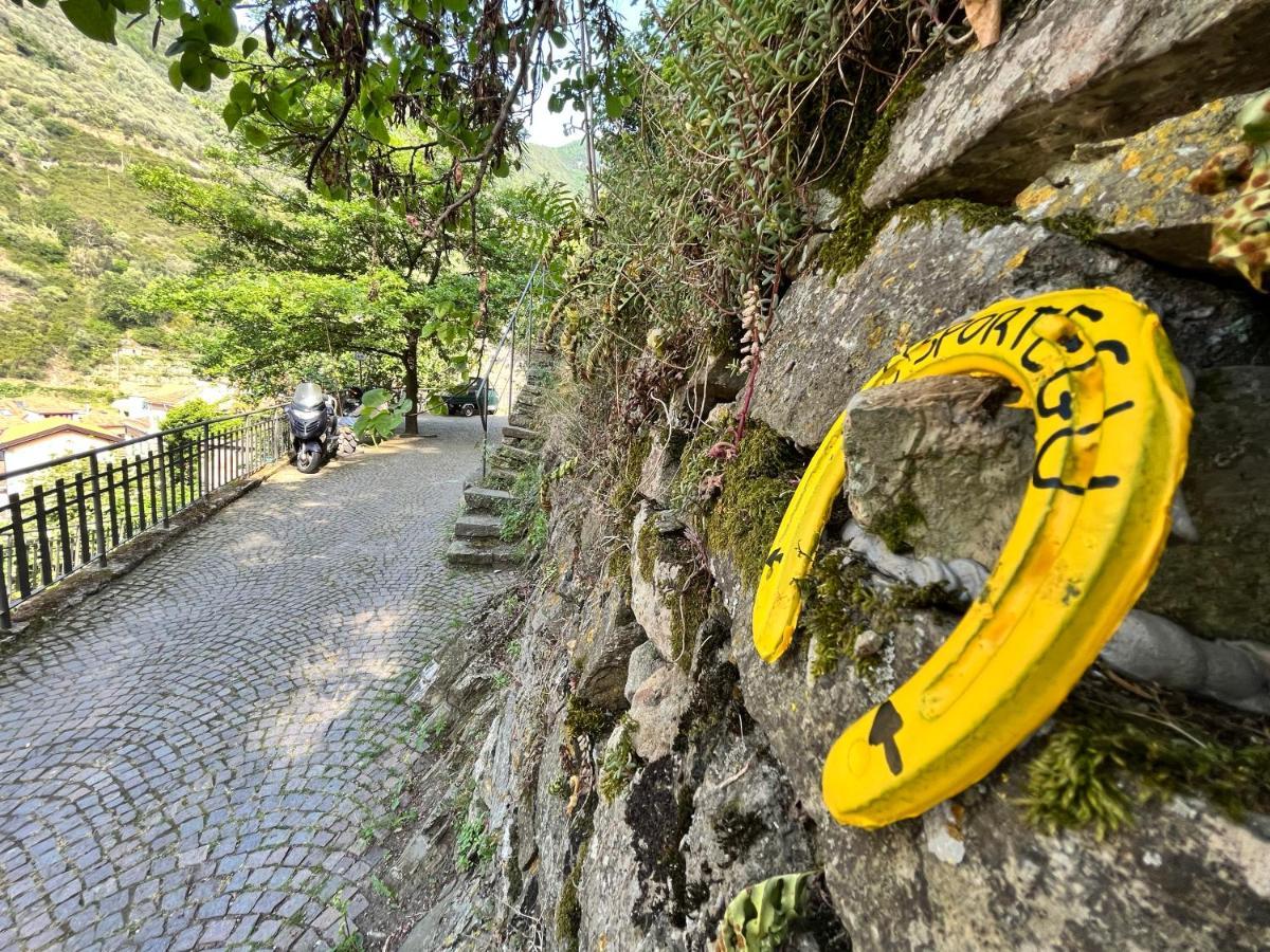 Alloggio U Sportegu Da E Monti A Giaia Villa Badalucco Buitenkant foto