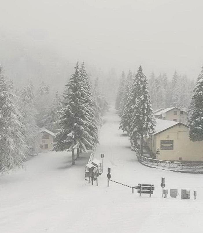Alloggio U Sportegu Da E Monti A Giaia Badalucco Buitenkant foto